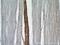 RNA Binding Motif Protein 24 antibody, 18178-1-AP, Proteintech Group, Immunohistochemistry paraffin image 