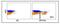 CD8b Molecule antibody, NBP2-60954, Novus Biologicals, Flow Cytometry image 