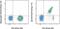 T Cell Receptor Alpha Constant antibody, 46-9986-42, Invitrogen Antibodies, Flow Cytometry image 