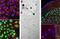 Fos Proto-Oncogene, AP-1 Transcription Factor Subunit antibody, GTX60996, GeneTex, Immunohistochemistry frozen image 