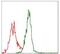 Argininosuccinate synthase antibody, MA5-17033, Invitrogen Antibodies, Flow Cytometry image 