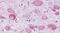 Neuropeptide Y Receptor Y1 antibody, PA5-33989, Invitrogen Antibodies, Immunohistochemistry paraffin image 