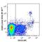 C-Type Lectin Domain Family 4 Member C antibody, 354211, BioLegend, Flow Cytometry image 