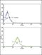 PTK7 antibody, PA5-14909, Invitrogen Antibodies, Flow Cytometry image 