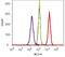 Cadherin 1 antibody, 701134, Invitrogen Antibodies, Flow Cytometry image 