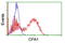 Carboxypeptidase A1 antibody, TA504522, Origene, Flow Cytometry image 