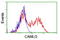 Calcium Modulating Ligand antibody, TA504363, Origene, Flow Cytometry image 