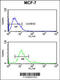 Inosine Monophosphate Dehydrogenase 2 antibody, 62-875, ProSci, Flow Cytometry image 