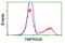 Transmembrane Serine Protease 5 antibody, TA503433, Origene, Flow Cytometry image 