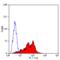 CD226 Molecule antibody, MCA2257, Bio-Rad (formerly AbD Serotec) , Immunoprecipitation image 