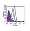 Toll Like Receptor 7 antibody, NBP2-31071, Novus Biologicals, Flow Cytometry image 