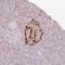 Glucagon antibody, NBP2-38329, Novus Biologicals, Immunohistochemistry frozen image 