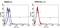 Telomerase Reverse Transcriptase antibody, TCR2055, Invitrogen Antibodies, Flow Cytometry image 