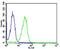 Calpain 1 antibody, MBS9200385, MyBioSource, Flow Cytometry image 