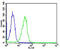 Calpain 1 antibody, MBS9200385, MyBioSource, Flow Cytometry image 