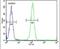 Acid Sensing Ion Channel Subunit 2 antibody, PA5-26222, Invitrogen Antibodies, Flow Cytometry image 