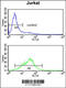 DNA polymerase delta catalytic subunit antibody, 61-563, ProSci, Flow Cytometry image 