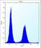 Ecto-NOX disulfide-thiol exchanger 2 antibody, LS-C167764, Lifespan Biosciences, Flow Cytometry image 