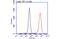 AIF1 antibody, GTX101495, GeneTex, Flow Cytometry image 