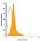 Protein Tyrosine Phosphatase Receptor Type J antibody, FAB1934F, R&D Systems, Flow Cytometry image 