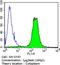 Spectrin Beta, Erythrocytic antibody, GTX22808, GeneTex, Flow Cytometry image 