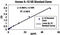 Interleukin 13 antibody, KHC0133, Invitrogen Antibodies, Enzyme Linked Immunosorbent Assay image 