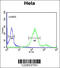 RAB8A, Member RAS Oncogene Family antibody, 63-721, ProSci, Immunofluorescence image 