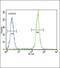 Betacellulin antibody, PA5-35064, Invitrogen Antibodies, Flow Cytometry image 