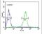 WD Repeat Domain 49 antibody, PA5-24358, Invitrogen Antibodies, Flow Cytometry image 