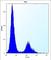 Vitamin D Receptor antibody, abx028311, Abbexa, Western Blot image 