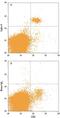 CD329 antibody, MAB7975, R&D Systems, Flow Cytometry image 