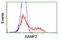 Receptor Activity Modifying Protein 2 antibody, TA504410, Origene, Flow Cytometry image 