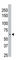 Protein Phosphatase, Mg2+/Mn2+ Dependent 1D antibody, abx033955, Abbexa, Western Blot image 