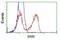 Serine Racemase antibody, GTX83567, GeneTex, Flow Cytometry image 