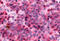 Somatostatin Receptor 3 antibody, MBS243238, MyBioSource, Immunohistochemistry frozen image 