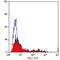 Beta-1,3-Glucuronyltransferase 1 antibody, GTX74867, GeneTex, Flow Cytometry image 