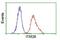 BRI antibody, NBP2-00620, Novus Biologicals, Flow Cytometry image 