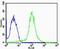 F-Box And Leucine Rich Repeat Protein 17 antibody, PA5-49340, Invitrogen Antibodies, Flow Cytometry image 