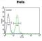 EWS RNA Binding Protein 1 antibody, abx034123, Abbexa, Western Blot image 