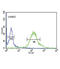 G2 And S-Phase Expressed 1 antibody, abx034554, Abbexa, Flow Cytometry image 