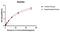 Interleukin 2 antibody, 11-089, ProSci, Enzyme Linked Immunosorbent Assay image 