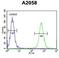 Coiled-Coil Domain Containing 148 antibody, LS-C168404, Lifespan Biosciences, Flow Cytometry image 