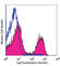 T Cell Receptor Beta Variable 7-9 antibody, 109228, BioLegend, Flow Cytometry image 