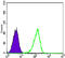 Coactivator Associated Arginine Methyltransferase 1 antibody, abx011384, Abbexa, Enzyme Linked Immunosorbent Assay image 