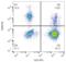 Neural Cell Adhesion Molecule 1 antibody, LS-C46452, Lifespan Biosciences, Flow Cytometry image 