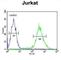 Transmembrane Protein 173 antibody, abx034525, Abbexa, Western Blot image 