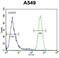 HIF-2-alpha antibody, LS-C167780, Lifespan Biosciences, Flow Cytometry image 