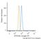 Lysine Methyltransferase 5B antibody, NBP1-97313C, Novus Biologicals, Flow Cytometry image 