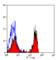 Signal Regulatory Protein Alpha antibody, MCA2312GA, Bio-Rad (formerly AbD Serotec) , Immunoprecipitation image 