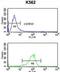 ATPase Na+/K+ Transporting Subunit Beta 2 antibody, GTX80450, GeneTex, Flow Cytometry image 